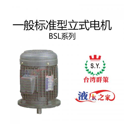 BSL一般標準型立式電機
