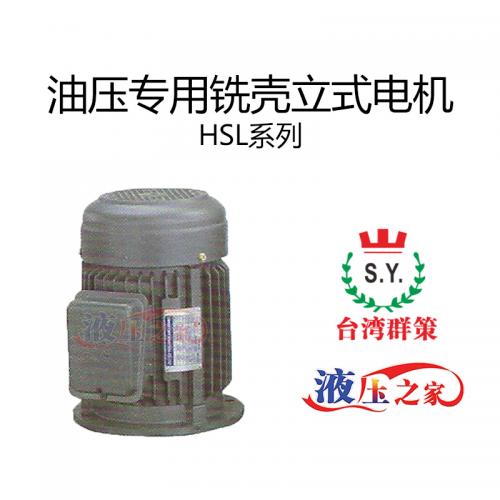 HSL油壓專用銑殼立式電機