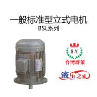 BSL一般標準型立式電機