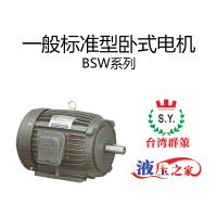 BSW一般標準型臥式電機