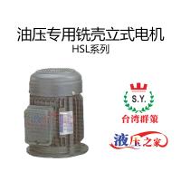 HSL油壓專用銑殼立式電機