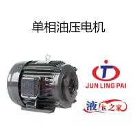 單相油壓電機