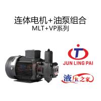 連體電機+油泵組合MLT+VP