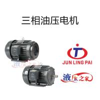 三相油壓電機