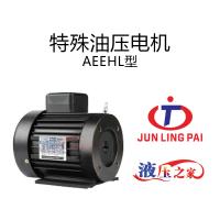 特殊油壓電機AEEHL型