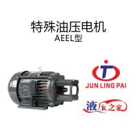 特殊油壓電機AEEL型